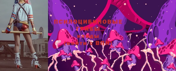 ECSTASY Ладушкин