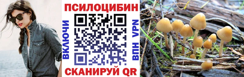 Галлюциногенные грибы ЛСД  Купить где  Барабинск 